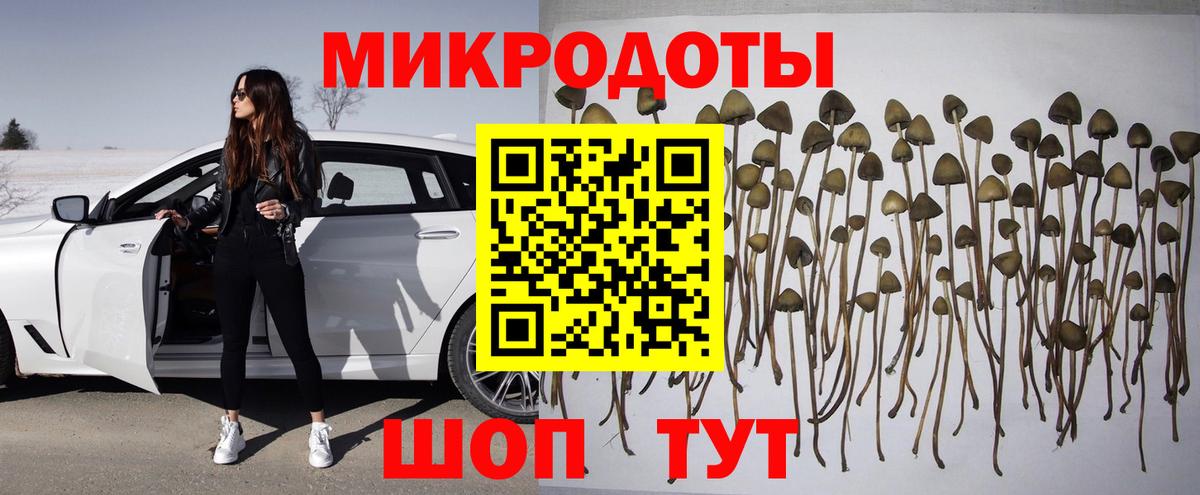 Орехово-Зуево  Псилоцибиновые грибы ЛСД  Вход с VPN 